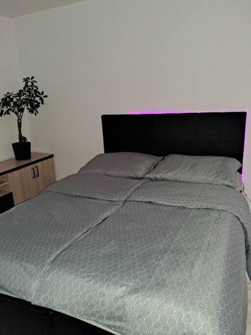 Apartament Na 4 Pietrze Новий Тарг Екстер'єр фото