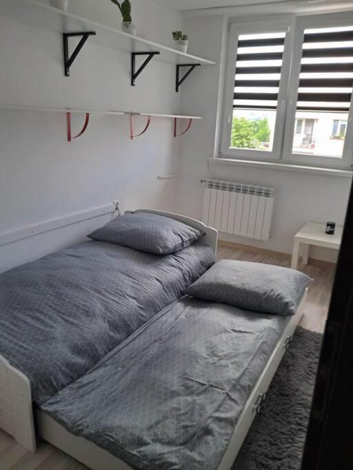 Apartament Na 4 Pietrze Новий Тарг Екстер'єр фото